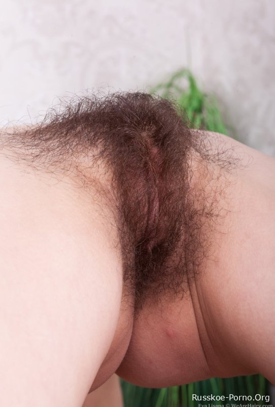 Мы Волосатая Ева Лисана